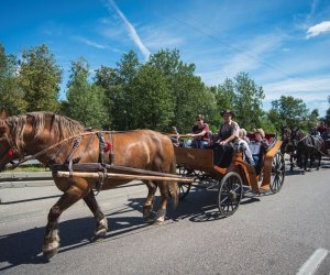 XVIII Podlaskie Święto Chleba - fotorelacja