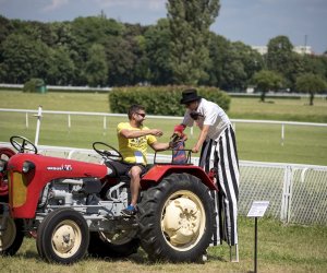 Piknik "Poznaj Zdrową Żywność" - fotorelacja