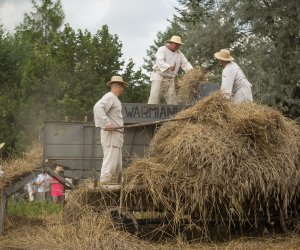 XXIII Podlaskie Święto Chleba - fotorelacja