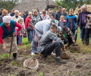 Jesień w Polu i Zagrodzie 2018 - fotorelacja