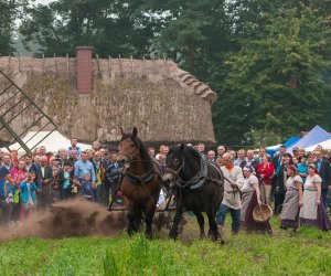 JESIEŃ W POLU I ZAGRODZIE