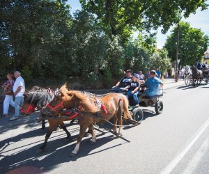 XVIII Podlaskie Święto Chleba - fotorelacja