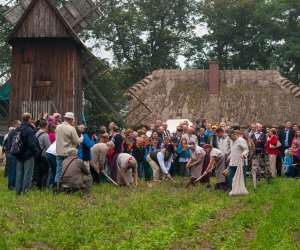 JESIEŃ W POLU I ZAGRODZIE