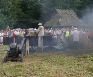 VII PODLASKIE ŚWIĘTO CHLEBA