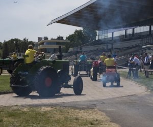 Piknik "Poznaj Zdrową Żywność" - fotorelacja