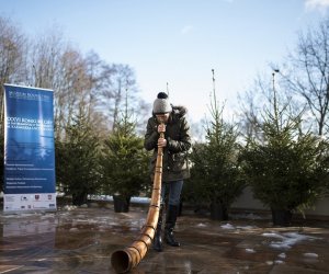 LIGAWKI 2016 - Fotorelacja z konkursu