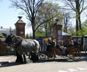 Jarmark Świętego Wojciecha w Ciechanowcu