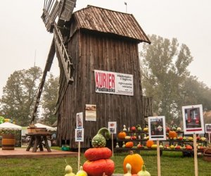 JESIEŃ W POLU I ZAGRODZIE