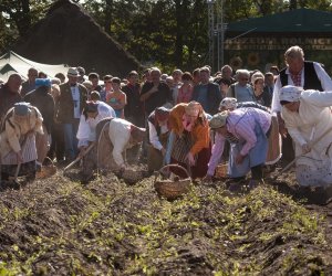 JESIEŃ W POLU I ZAGRODZIE w ramach Europejskich Dni Dziedzictwa 18 września 2016 r.