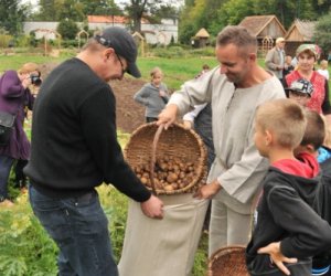 Wykopki w Skansenie