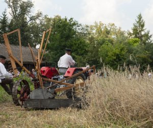 XXIII Podlaskie Święto Chleba - fotorelacja