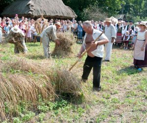 X PODLASKIE ŚWIĘTO CHLEBA