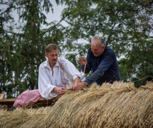 Jesień w Polu i Zagrodzie 2018 - fotorelacja