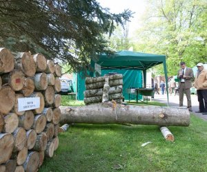 Jarmark Św. Wojciecha i Festyn Leśny 2014