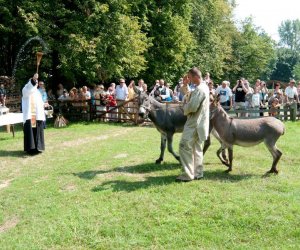 X PODLASKIE ŚWIĘTO CHLEBA