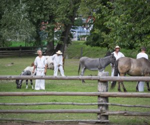 XXIII Podlaskie Święto Chleba - fotorelacja