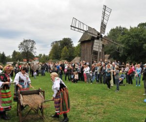 Wykopki w Skansenie