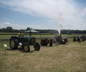 Piknik "Poznaj Zdrową Żywność" - fotorelacja