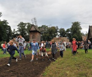 Wykopki w Skansenie