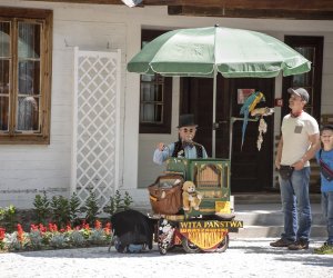 Odpust na św. Antoniego - fotorelacja