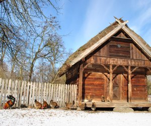 NIECOdziennik Muzealny Mieszkańcy Muzeum – „Na Kurzej Łapce”