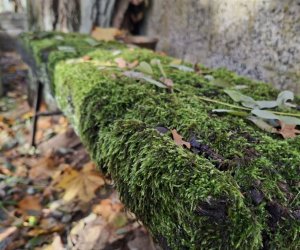 NIECOdziennik Muzealny - Ogrody Wiecznej Pamięci