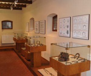 Odnowiona ekspozycja Muzeum Weterynarii