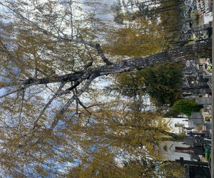 NIECOdziennik Muzealny - Ogrody Wiecznej Pamięci