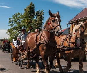 XV Podlaskie Święta Chleba w Muzeum Rolnictwa im. ks. Krzysztofa Kluka w Ciechanowcu