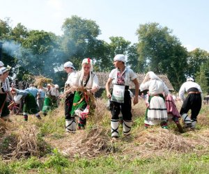 X PODLASKIE ŚWIĘTO CHLEBA