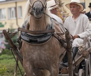 XVI Podlaskie Święto Chleba