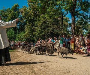 XV Podlaskie Święta Chleba w Muzeum Rolnictwa im. ks. Krzysztofa Kluka w Ciechanowcu