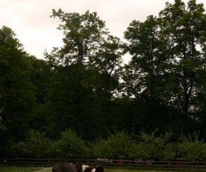 Początek wiosny w Muzeum Rolnictwa im. ks. K. Kluka w Ciechanowcu to czas dla zwierząt.