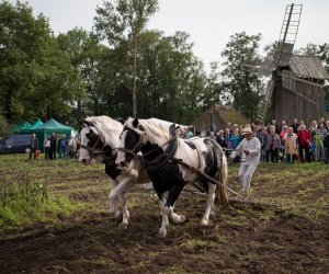 Impreza plenerowa - Jesień w Polu i Zagrodzie