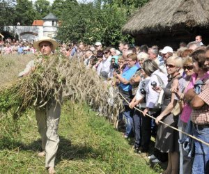 XII Podlaskie Święto Chleba, 12.08.2012 r.