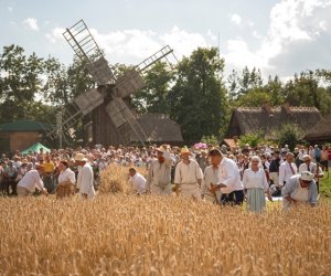 XIX Podlaskie Święto Chleba - fotorelacja