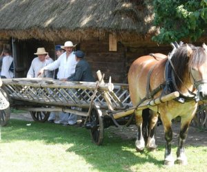 IX Podlaskie Święto Chleba