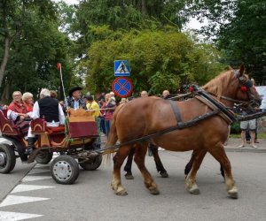 XVII Podlaskie Święto Chleba - fotorelacja