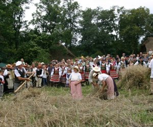 VIII PODLASKIE ŚWIĘTO CHLEBA