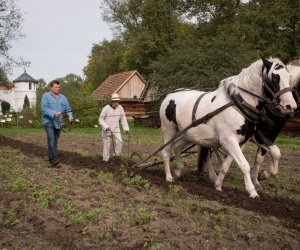 Impreza plenerowa - Jesień w Polu i Zagrodzie