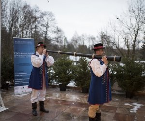 LIGAWKI 2016 - Fotorelacja z konkursu