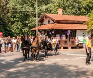 Święto Chleba po raz trzynasty