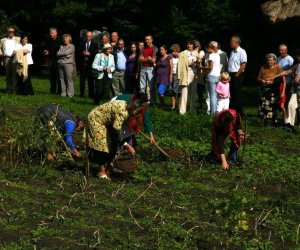 Wykopki w skansenie 2009