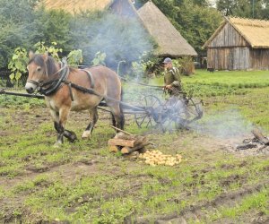 Wykopki w skansenie podsumowanie, fotorelacja.