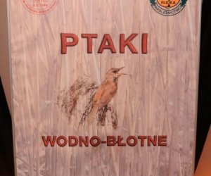 Wystawa czasowa „Ptaki wodno-błotne”