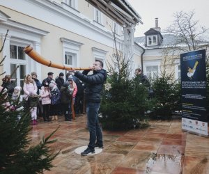 Ligawki 2018