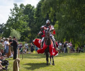 14 Zajazd Wysokomazowiecki - fotorelacja