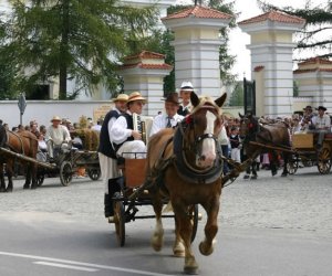 VII PODLASKIE ŚWIĘTO CHLEBA