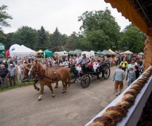 XVII Podlaskie Święto Chleba - fotorelacja