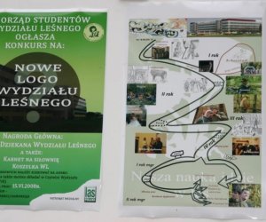 Święto lasu